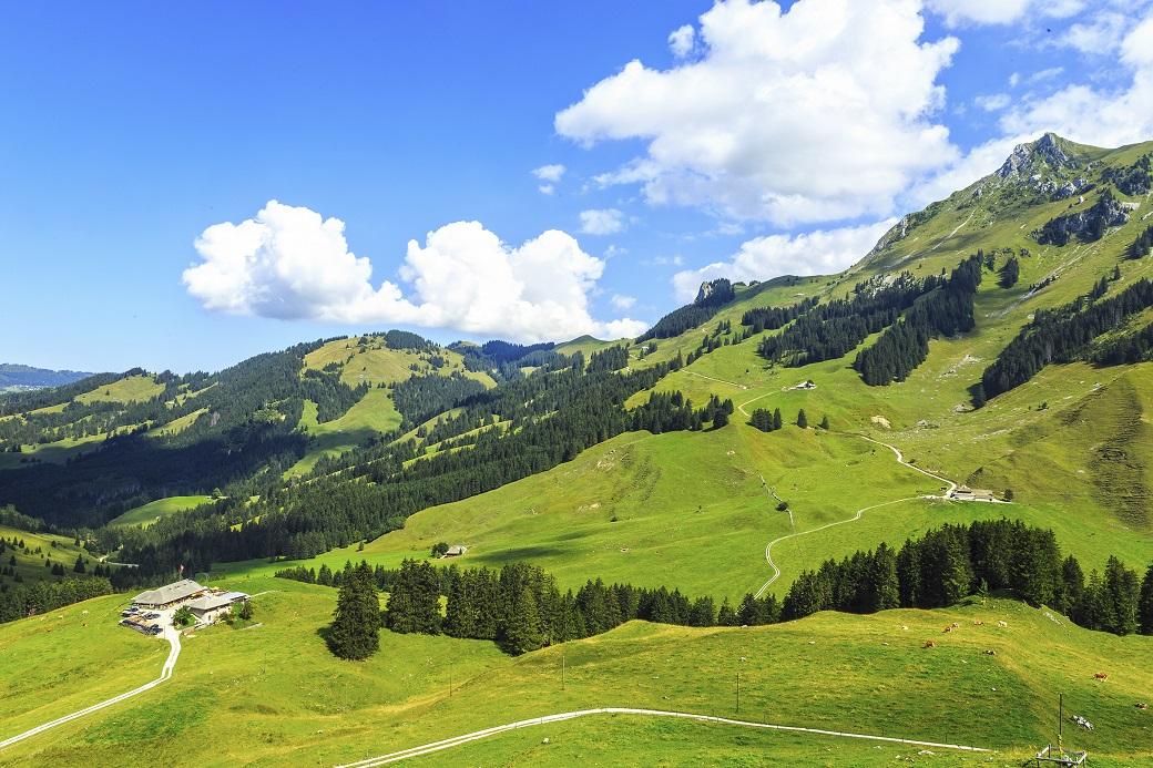 Fromagerie du Gantrischli