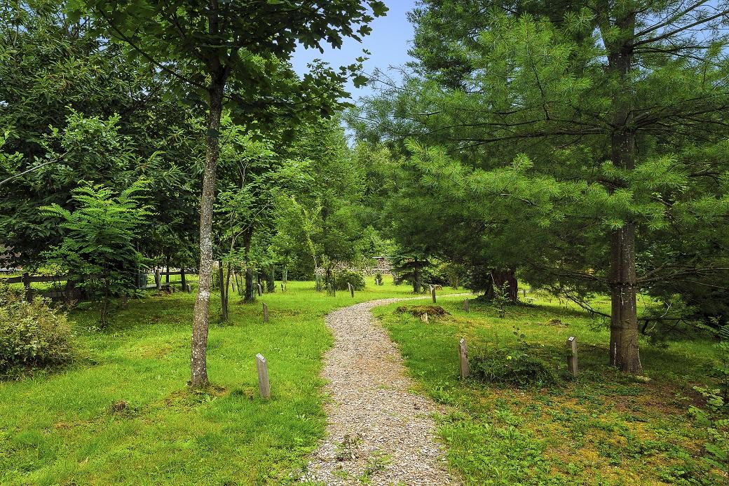 Forstzentrum La Corbaz